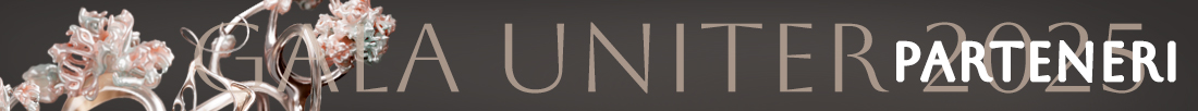 Parteneri uniter
