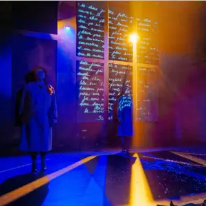 Elena Găgeanu - În zori, lumina e mai aspră
