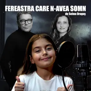 Fereastra care n-avea somn