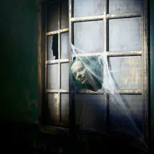 Romeo Groza - I am the
  wind